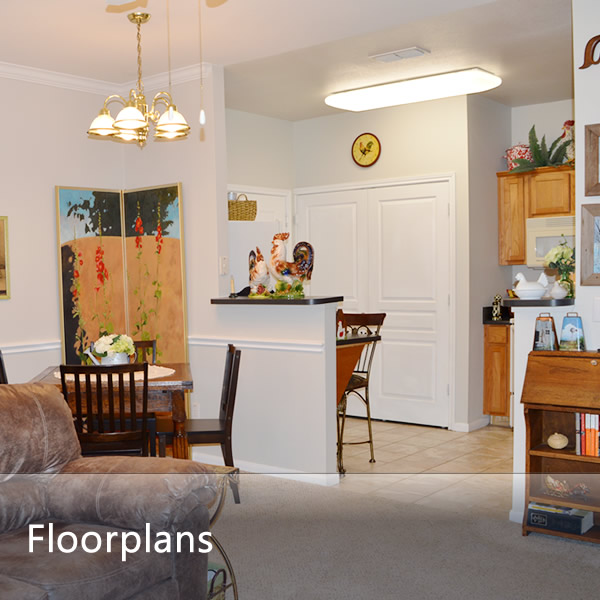 Spacious Floor Plans